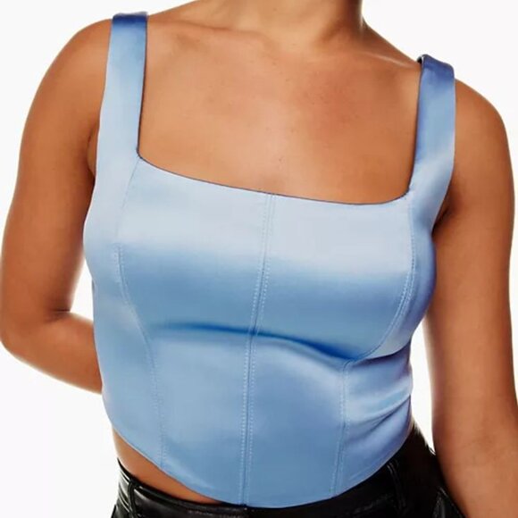 Aritzia Ten by Babaton (L) ELEVATE Square-neck Bustier Silver Princess Top - Picture 7 of 7
